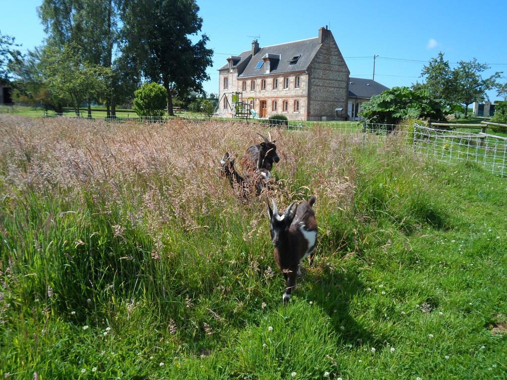 A L'Oree Du Lin Mentheville Buitenkant foto